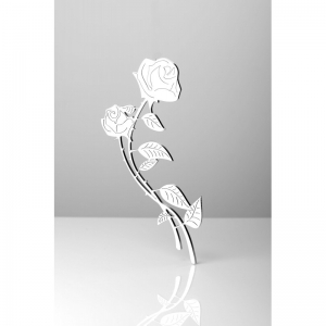 Róża Rodlew 77-15 - 15 cm