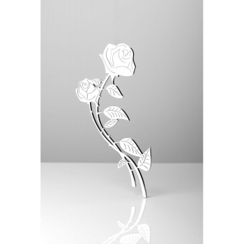 Róża Rodlew 77-20 - 20 cm